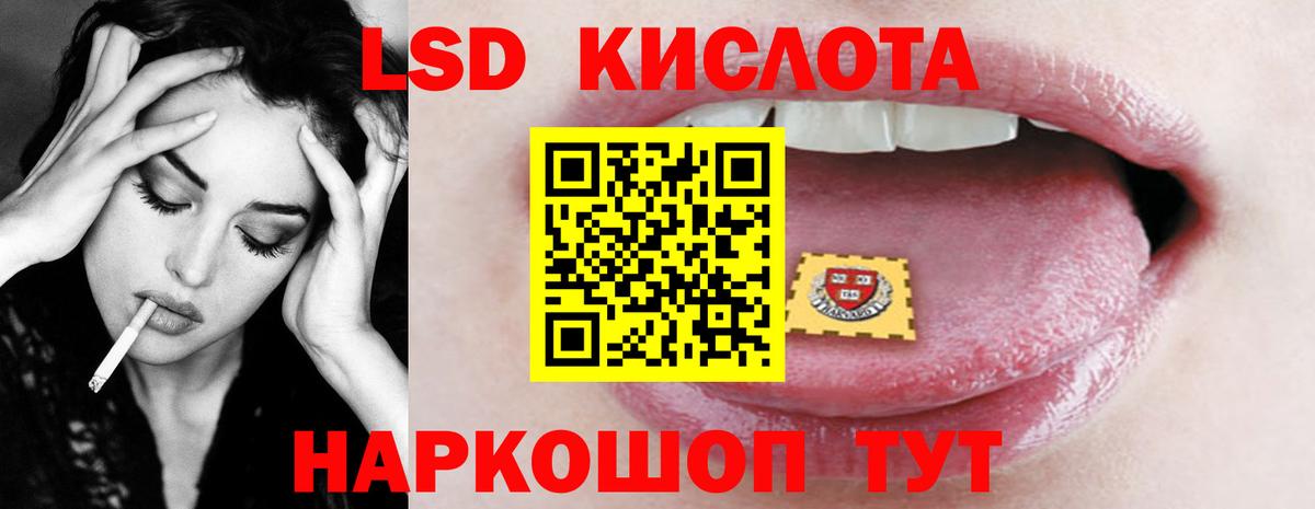 Новозыбков  ЛСД экстази кислота  ЛСД экстази ecstasy  Вход с VPN 