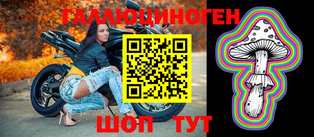 Галлюциногенные грибы GOLDEN TEACHER  Вход с VPN  Новозыбков 